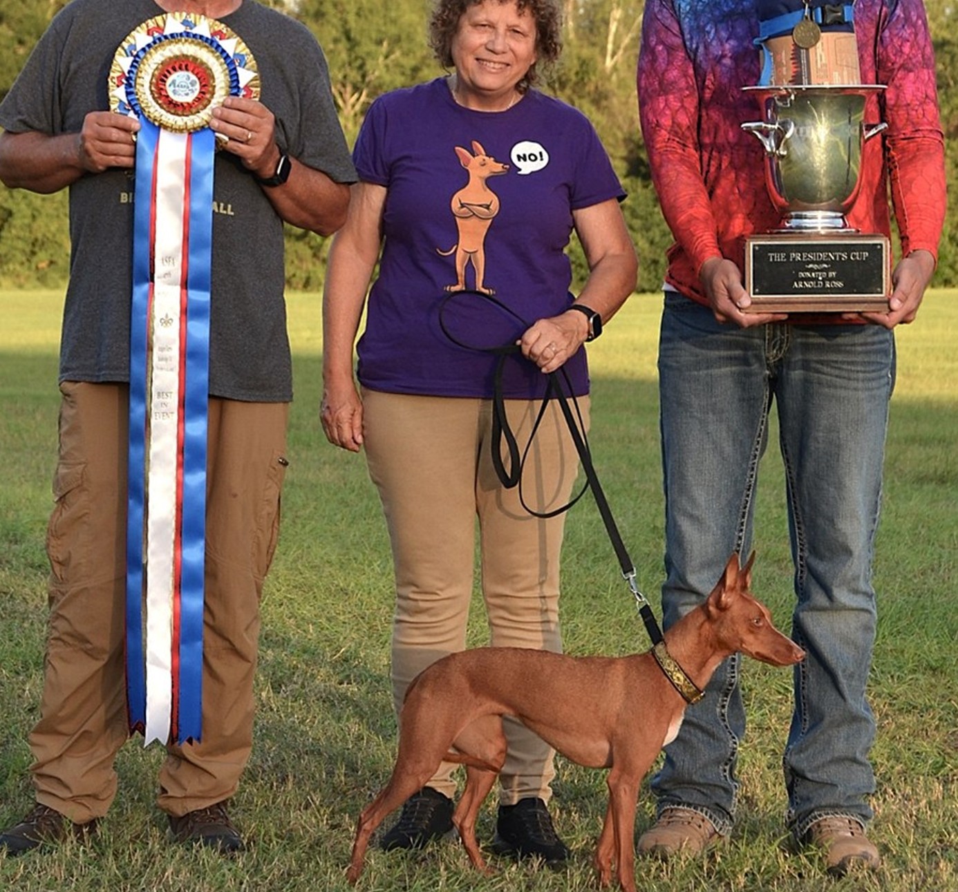 Trophies and rosettes at the ASFA International Invitational
